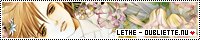 200×40